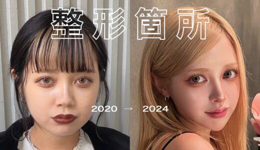 総額250万の整形履歴書