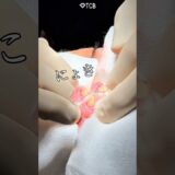 【クマ取り】にょきっ！にょきっ！にょきっ！#shorts