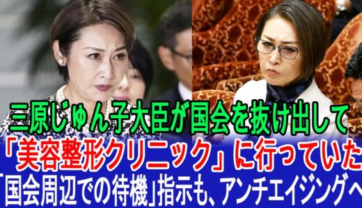 三原じゅん子大臣が国会を抜け出して「美容整形クリニック」に行っていた！　「国会周辺での待機」指示も、アンチエイジングへ  #三原じゅん子
