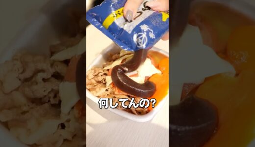 YES or No 牛丼チャレンジ