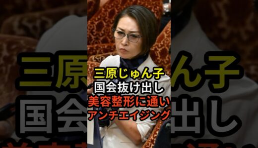 三原じゅん子国会抜け出し美容整形に通いアンチエイジング #政治 #ニュース #こども家庭庁 #石破政権