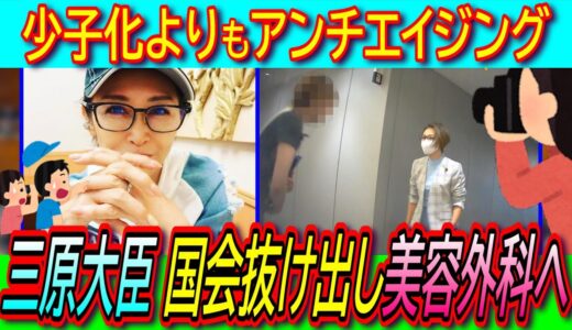 【悲報】三原じゅん子大臣 国会周辺での待機指示出るが抜け出して美容整形クリニックに行く【ガソリン減税/こども家庭庁/少子化/アンチエイジング】