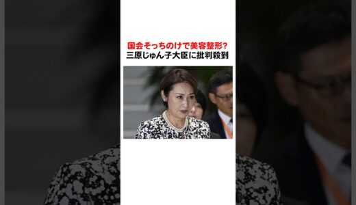 国会そっちのけで美容整形？三原じゅん子大臣に批判殺到