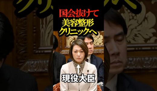 【とんでもない】国会抜けて美容整形クリニックへ現役大臣が行っていた。←禁足指示を無視で処罰なし