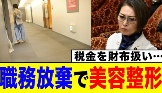 【衝撃】三原じゅん子、国会抜け出し『美容整形』←7兆円の使用先判明【2chまとめ】【2chスレ】【5chスレ】