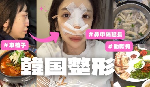 【韓国整形Vlog】車椅子女子が４度目の鼻整形してみた【鼻中隔延長・肋軟骨移植】