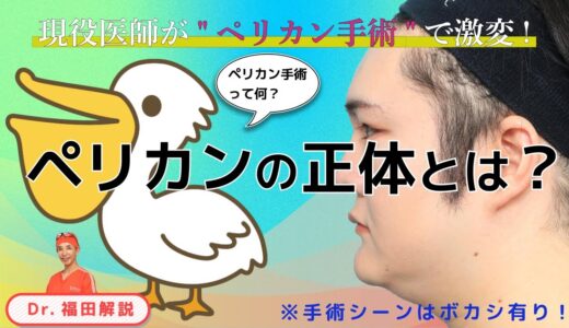 【美容整形ホントの話 ＃3】現役医師が患者になって【ペリカン手術】果たしてペリカンの正体とは？